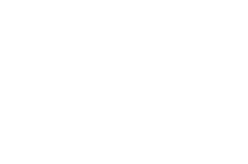 Homee mascot logo